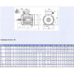 BRAKE MOTOR 3000W/380V