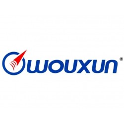 Wouxun KG-819U