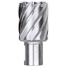 BDS HSS-CO hullsager 12–50 mm