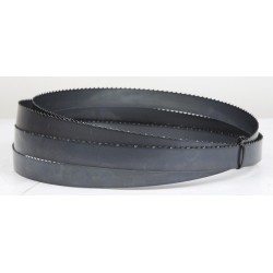 Tera BS600 4590/10