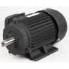 WS 1 ½ elmotor 2200 W 380 V