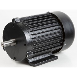 FM300 elektrisk motor 1500 W / 230 V