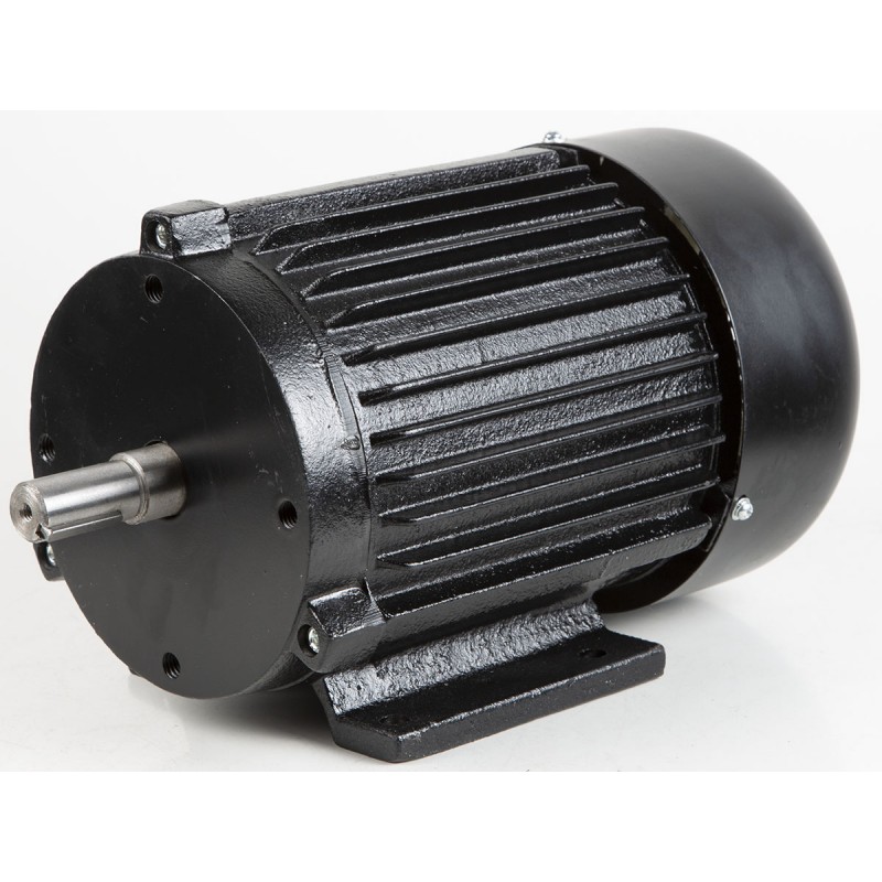 FM300 Elektrisk motor 1500W/230V