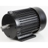 FM300 Elektrisk motor 1500W/230V