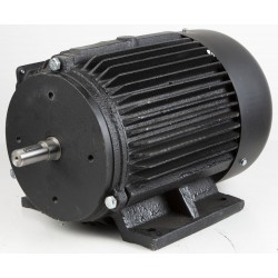 Elektrimootor FM300S5 puruimurile 3750W/380V