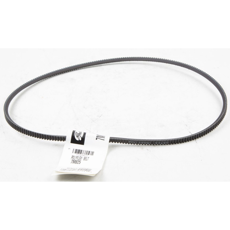 290VF rihm (gates 7M825) nr.19